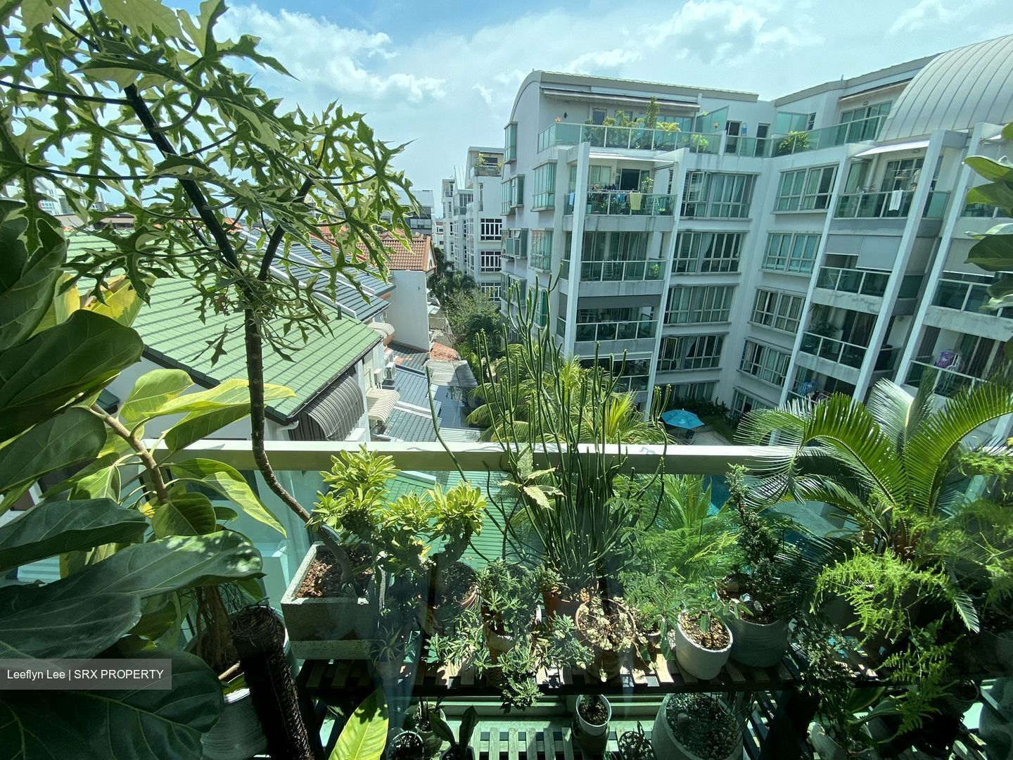 Mera East (D14), Apartment #370842141